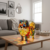 Levende pomeranian