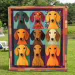 Gullig dachshundpledd
