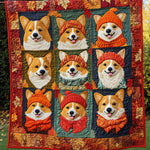 Høstcorgi – Pledd